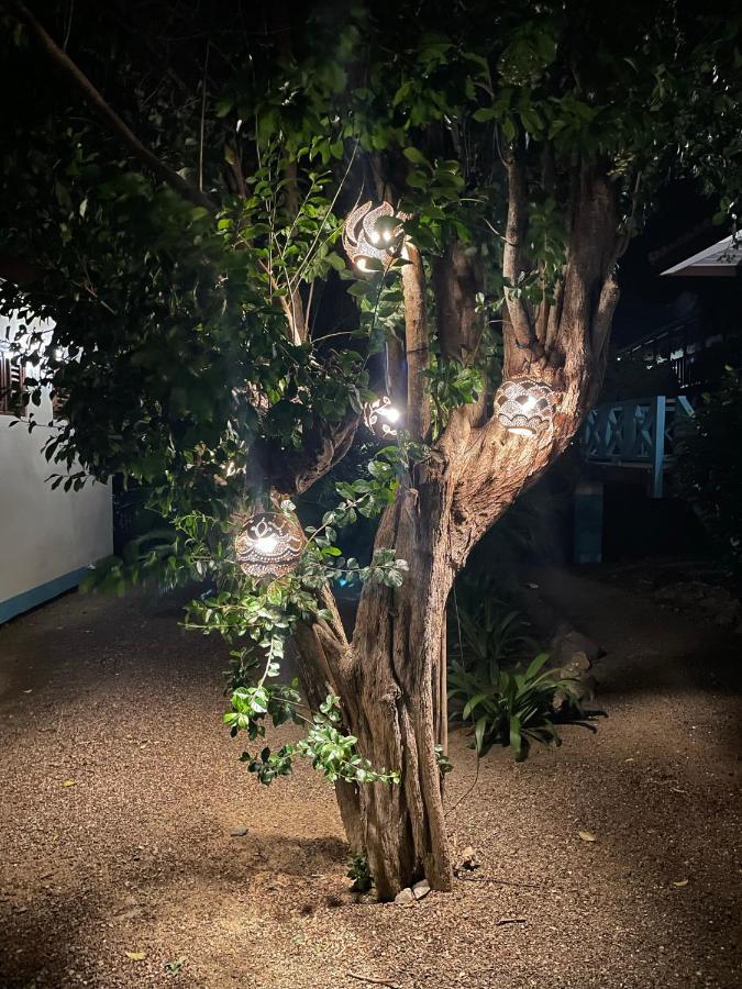 Botanique Bungalows Westpunt エクステリア 写真